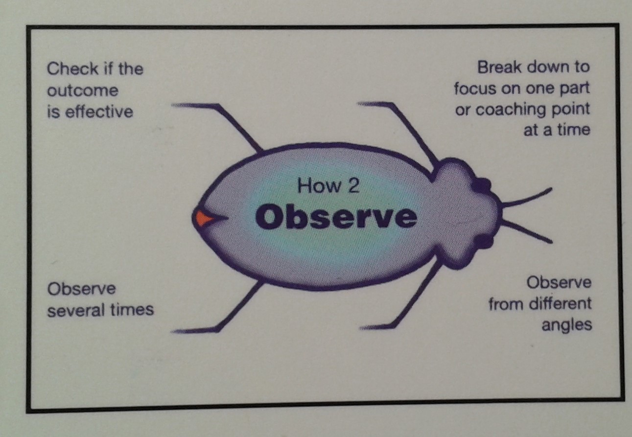 Developing the batting fundamentals, the England way — where do you look?